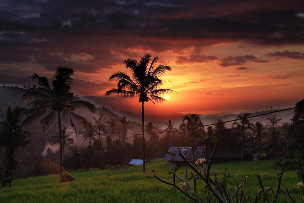 Gangga Homestay Munduk Exterior foto